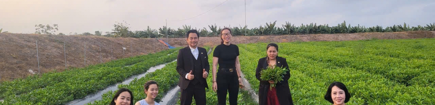 Giá trị dinh dưỡng của Sâm Thủy Tổ với sức khỏe gia đình Việt