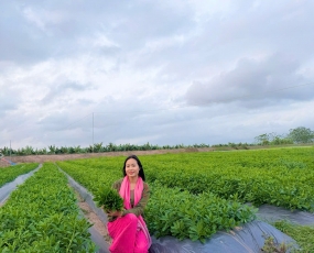Vườn Sâm Thủy Tổ