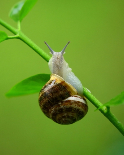 Tên album 1 (1) (1)