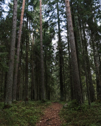 Tên album 1 (1) (1) (1) (1) (1)