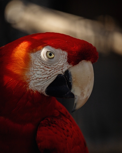 Tên album 1 (1) (1) (1) (1)