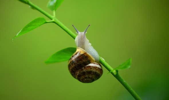 Tên album 1 (1) (1)