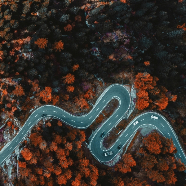 Tiêu đề sản phẩm sâm thuỷ tổ 3